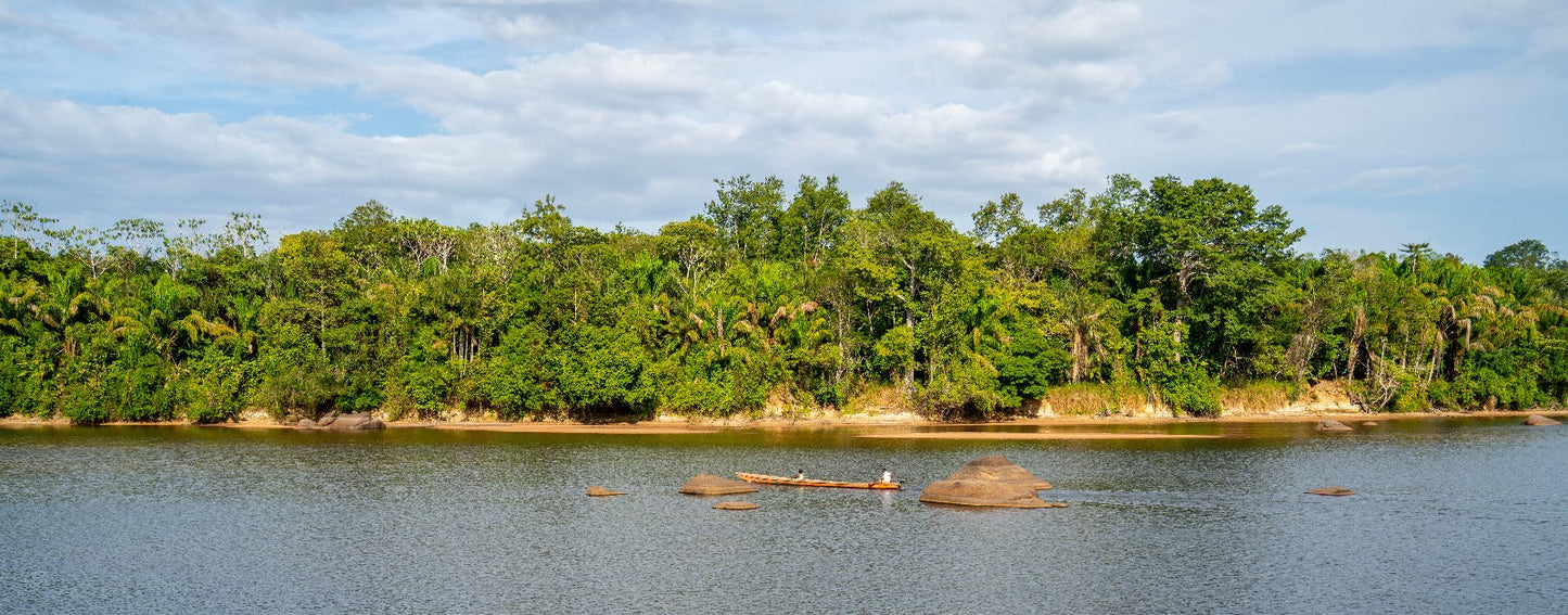WAAR MIJN VERHAAL BEGON